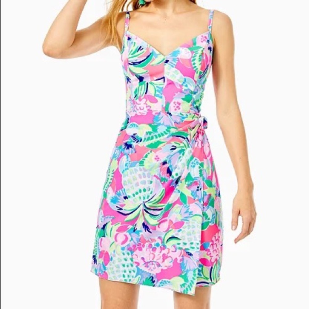 COPY - Lilly Pulitzer Scarlet Stretch Dress in Multi Raise the bar